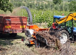 Купить измельчитель веток GANDINI, барабанного типа в Алматы, цена: 000 $, рассрочка - 6 месяцев. Фото 11